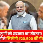 Senior citizen pension